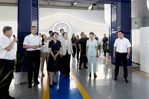 工信部规划司副司长胡玥带队调研精工碳材