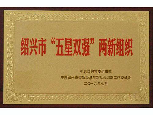 精功科技入选绍兴市&ldquo;五星双强&rdquo;两新组织