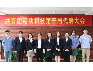 Jinggong Science and Technology Youth League convenes the third member congress
